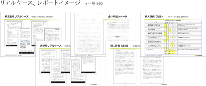 リアルケース、レポートイメージ ※一部抜粋
