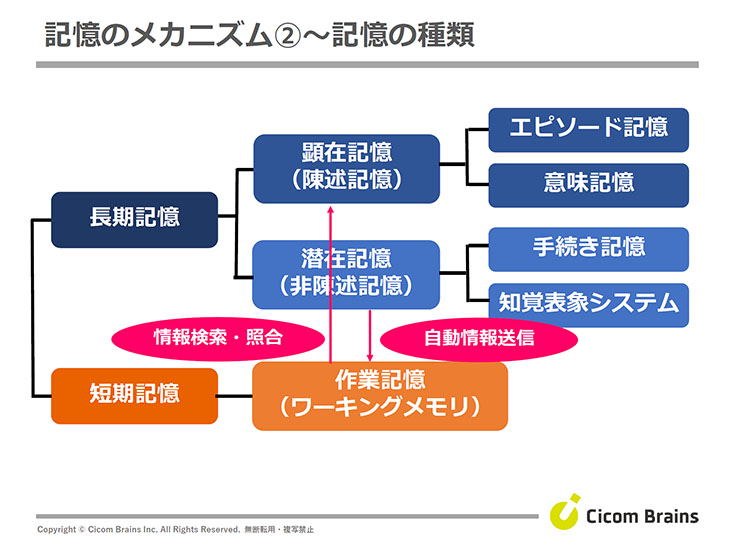 記憶のメカニズム〜記憶の種類〜