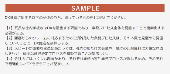 DXリテラシー診断のサンプル画像